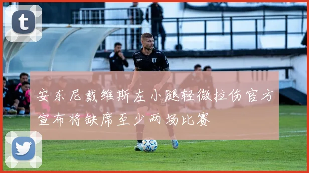 安东尼戴维斯左小腿轻微拉伤官方宣布将缺席至少两场比赛