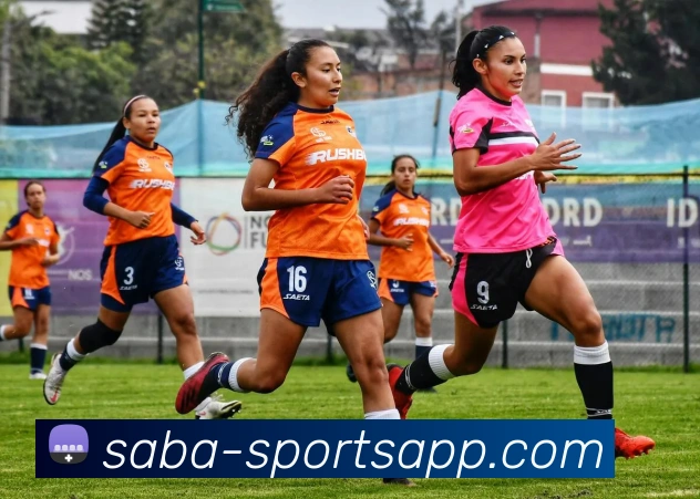 App Interface Preview